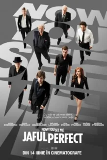 Now You See Me (2013)