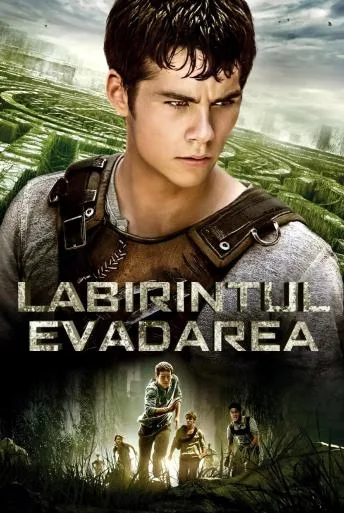 The Maze Runner (2014)