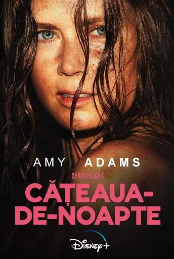 Nightbitch (2024) online subtitrat în Română HD