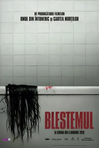 The Grudge – Blestemul (2020)