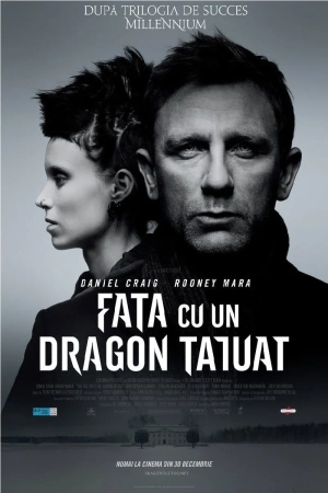The Girl with the Dragon Tattoo (2011)