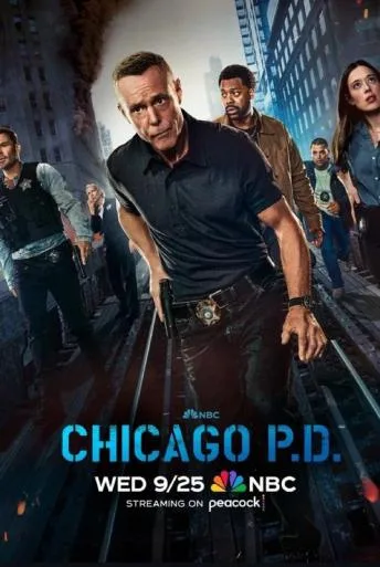 Chicago P.D. (2014)