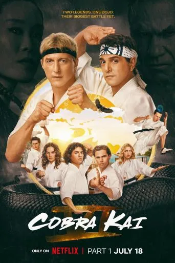 Cobra Kai (2018) online subtitrat în Română HD