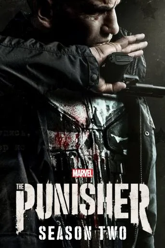 The Punisher online subtitrat