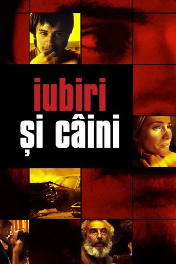 Iubiri și câini (2000)