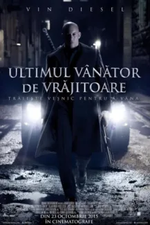 The Last Witch Hunter (2015)