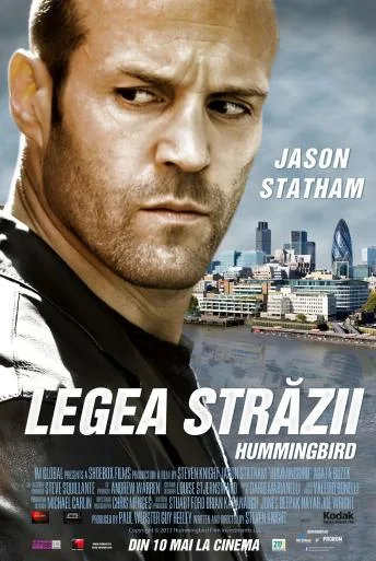 Hummingbird (2013)