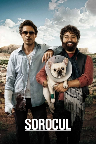 Due Date (2010)
