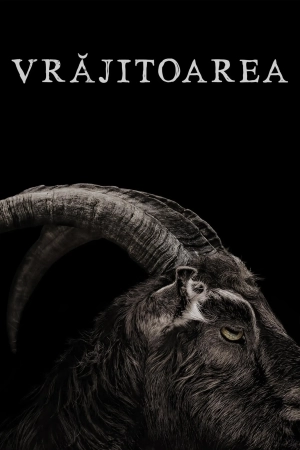 The VVitch: A New-England Folktale (2015)