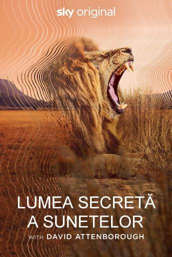 Lumea secretă a sunetelor cu David Attenborough (2024)