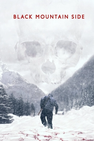 Black Mountain Side (2014)