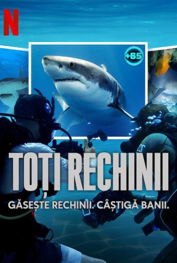 Toți rechinii (2025)