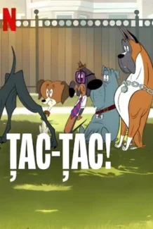 Țac-țac! – Fixed (2025)