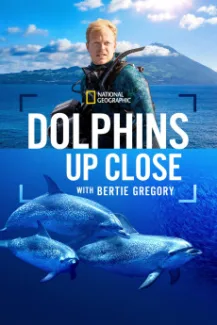 Dolphins Up Close with Bertie Gregory (2025)