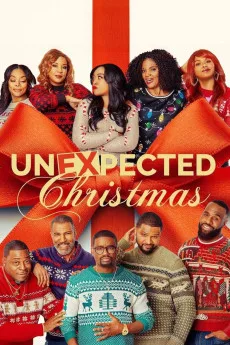 Unexpected Christmas (2025) online subtitrat în Română HD