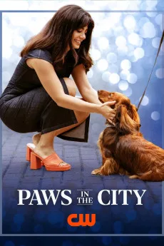 Paws In The City (2025) online subtitrat în Română HD