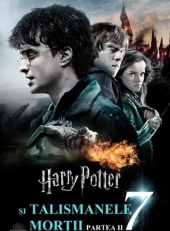 Harry Potter and the Deathly Hallows: Part 2 (2011)
