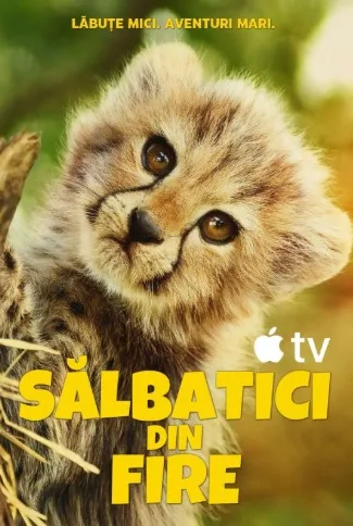 Born to be Wild (2025)