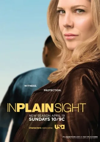 In Plain Sight (2008)