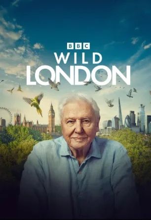 Wild London (2026)