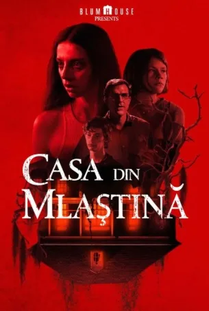 A House on the Bayou – Casa din mlaștină (2021)