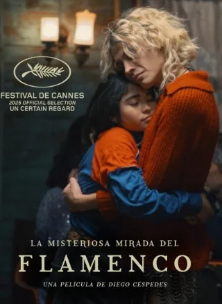 The Mysterious Gaze of the Flamingo (2025)