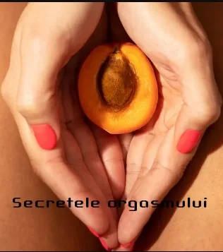 Orgasmul feminin explicat online subtitrat