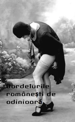 Bordelurile românești de odinioară online subtitrat