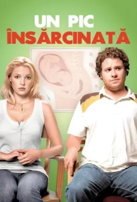 Knocked Up – Un pic însărcinată 2007 online subtitrat