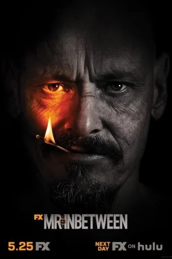 Mr Inbetween online subtitrat