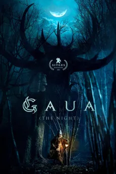 Gaua – The Night (2026)