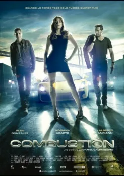Combustion (2013)