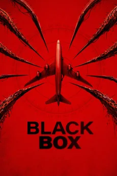 Black Box (2026)