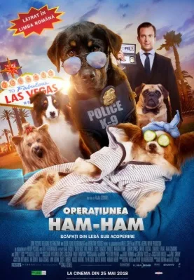 Operaţiunea Ham-Ham (2018)