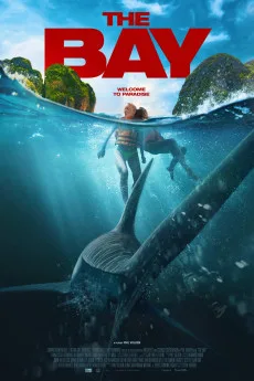 The Bay (2026)
