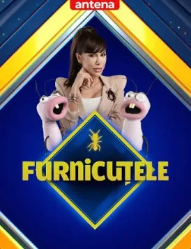 Furnicutele
