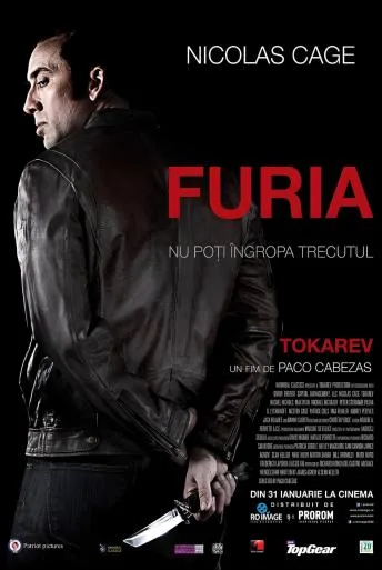 Tokarev (2014)