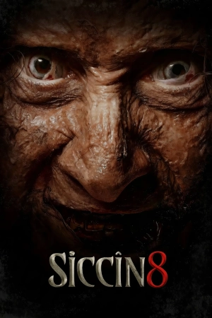 Siccin 8 (2025)